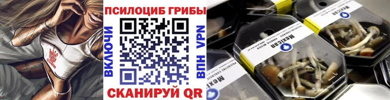 Галлюциногенные грибы Psilocybine cubensis  Ессентукская 
